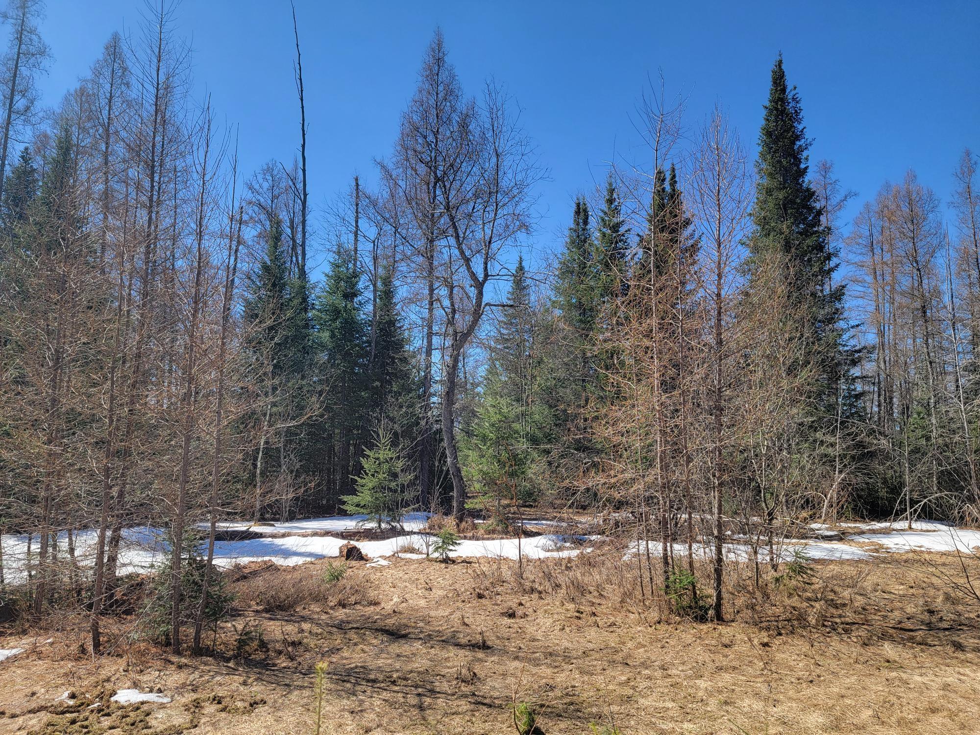 79237 Cth Road Glidden, WI 54527 - Photo 11 of 35 Gallery Image 11