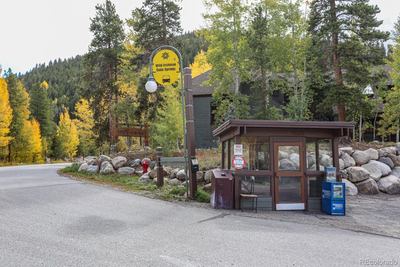 393 Wild Irishman Road, Unit 1050 Keystone, CO 80435 - Photo 29 of 29 Gallery Image 29
