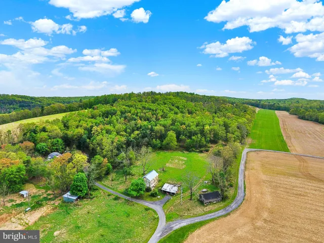 a view of a lake from a garden