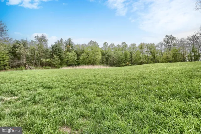 a view of outdoor space with trees all around