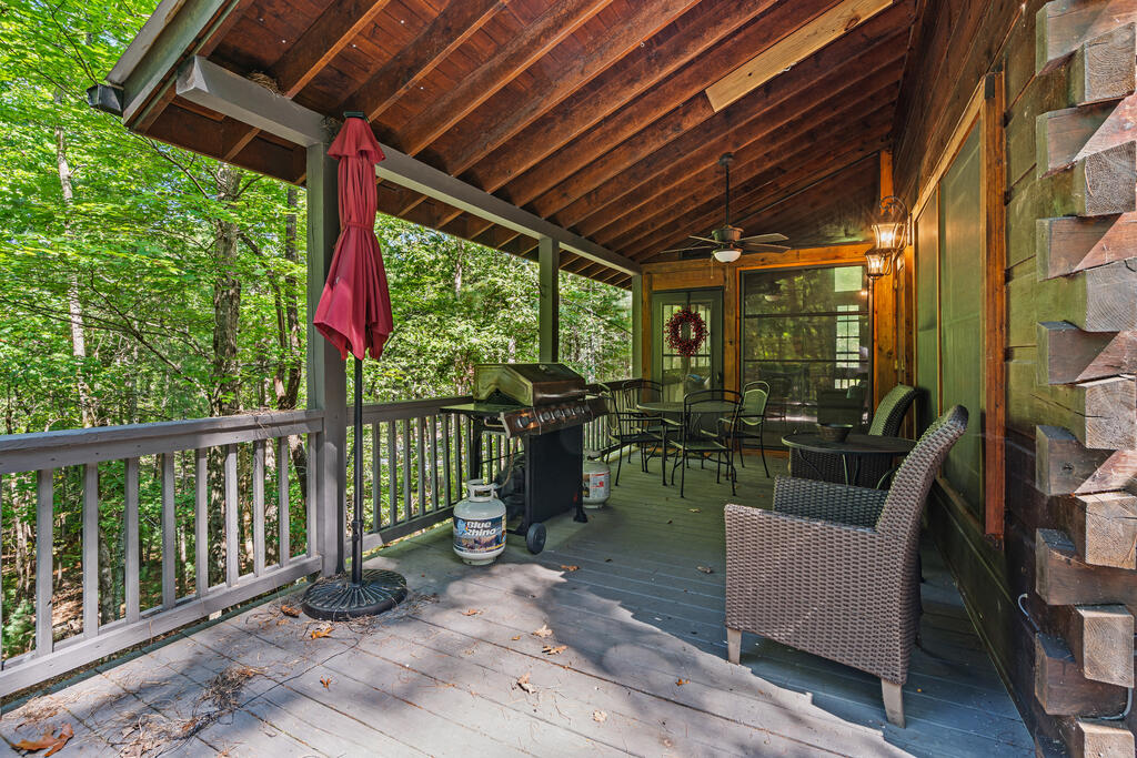 63 Bushy Head Road Cherry Log, GA 30522 - Photo 5 of 42 Gallery Image 5