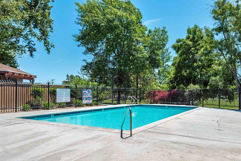 10281 Alphonse Street Santee, CA 92071 - Photo 24 of 26 a view of a swimming pool with a lawn chairs and large trees