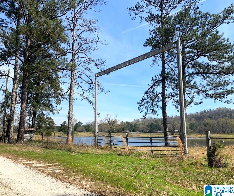 352 Daniel Road, Unit 97 17 ACRES Ohatchee, AL 36271 - Photo 1 of 17