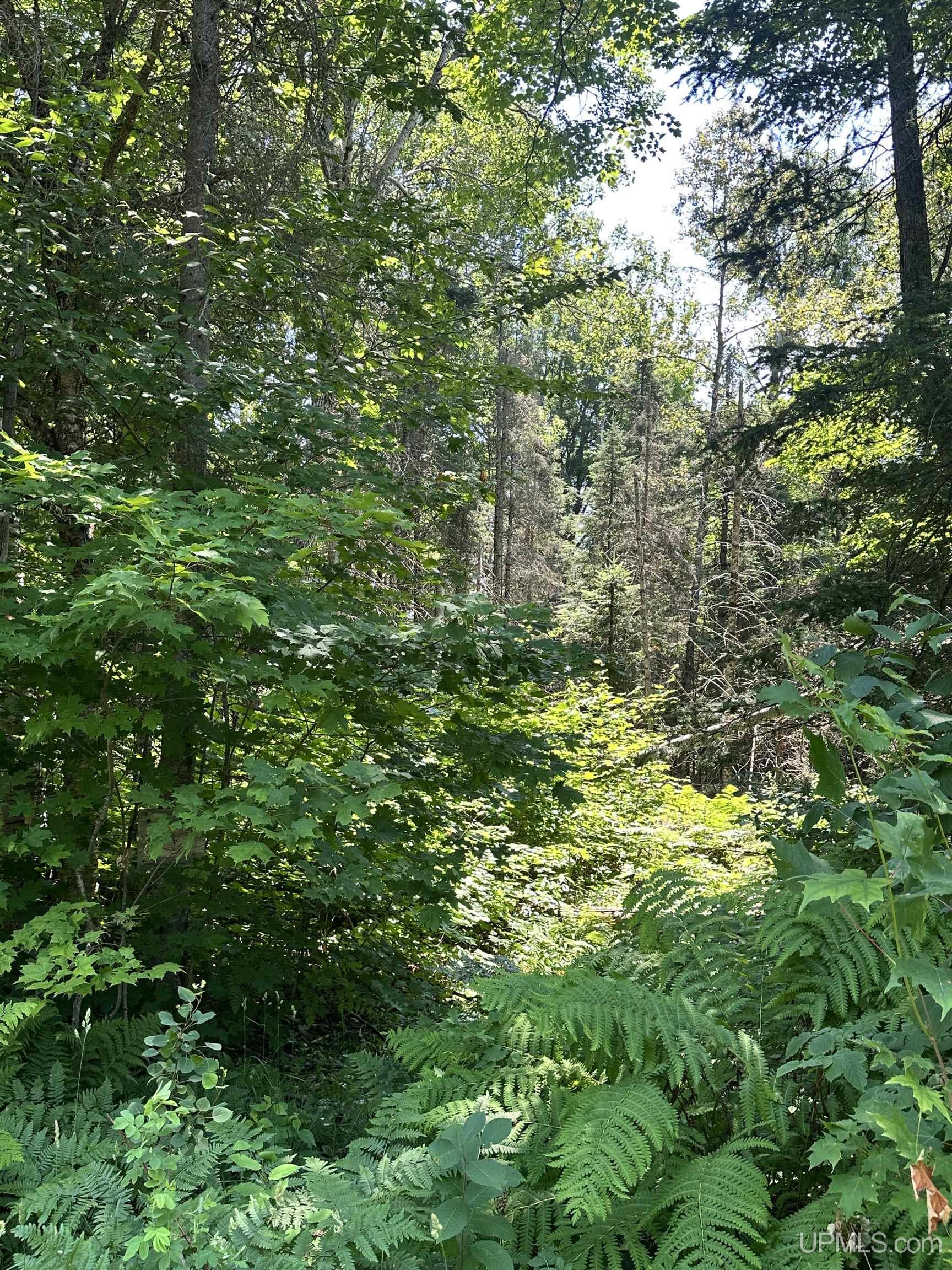 482 Rd Ishpeming Mi 49849 Road Ishpeming, MI 49849 - Photo 5 of 7