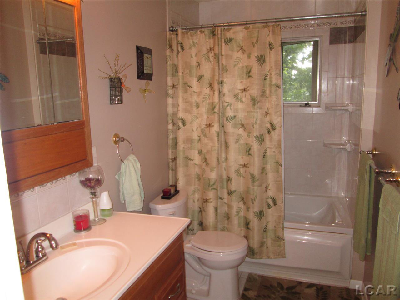 915 Riverside Avenue Adrian, MI 49221 - Photo 7 of 25 31301831-6.JPG