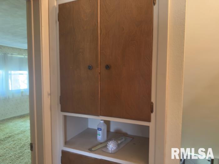 18609 Locust Street Trivoli, IL 61569 - Photo 20 of 31
