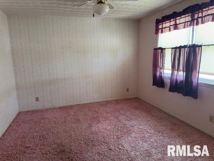 18609 Locust Street Trivoli, IL 61569 - Photo 24 of 31