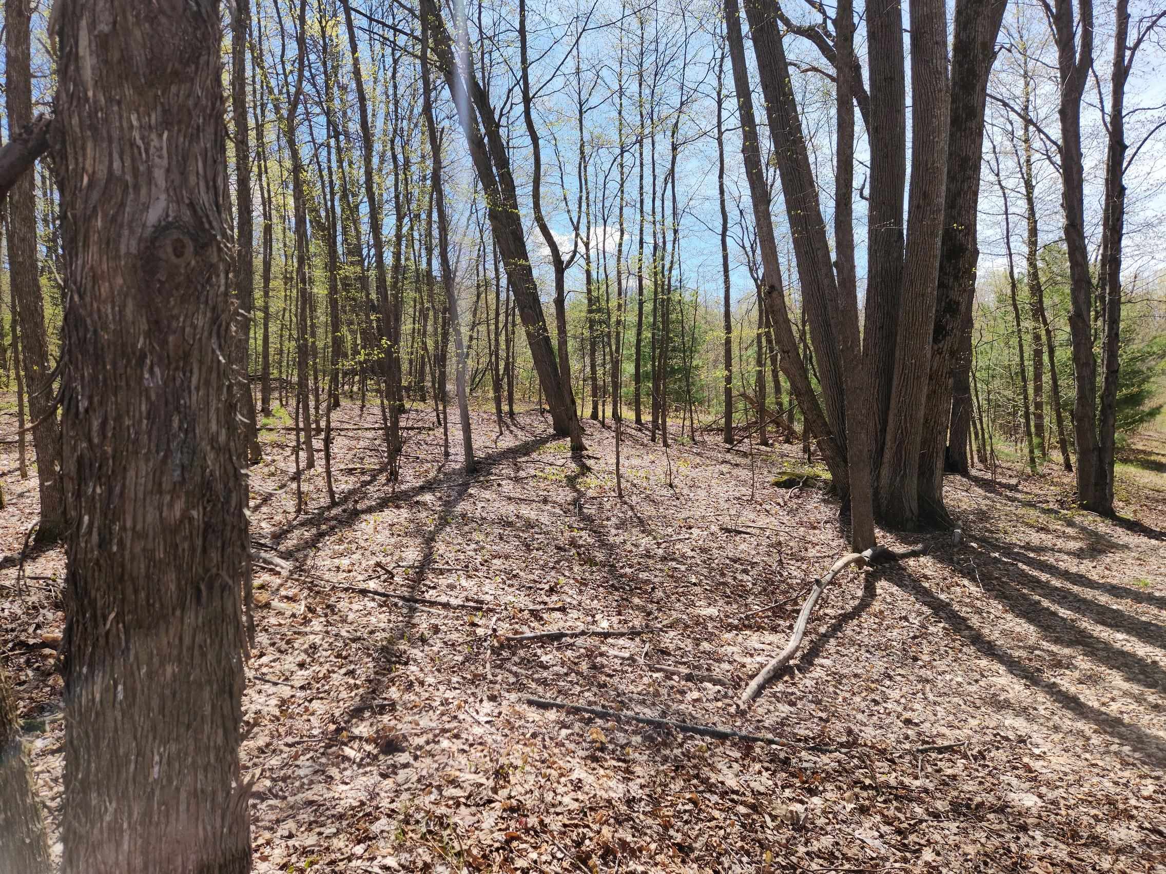 7777 Henschell Road Southwest South Boardman, MI 49680 - Photo 20 of 31