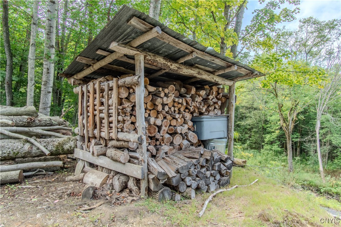 672 Pinckney Road Pinckney, NY 13682 - Photo 34 of 50