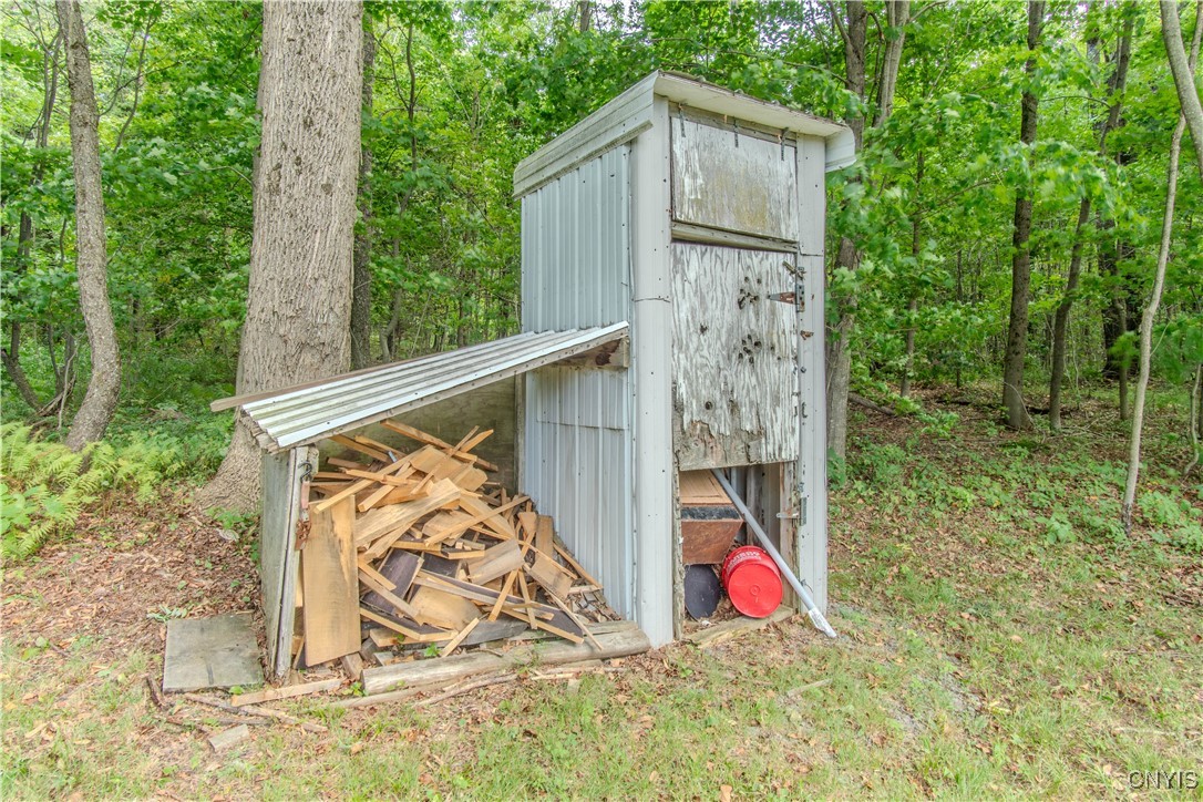 672 Pinckney Road Pinckney, NY 13682 - Photo 36 of 50