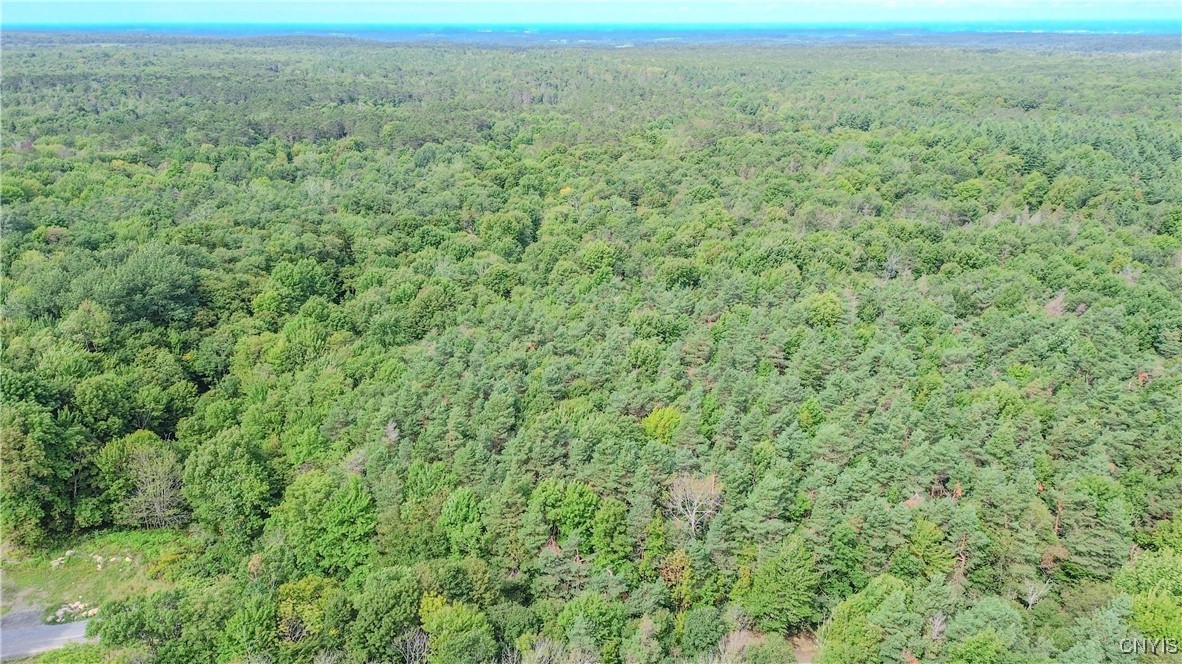 672 Pinckney Road Pinckney, NY 13682 - Photo 40 of 50