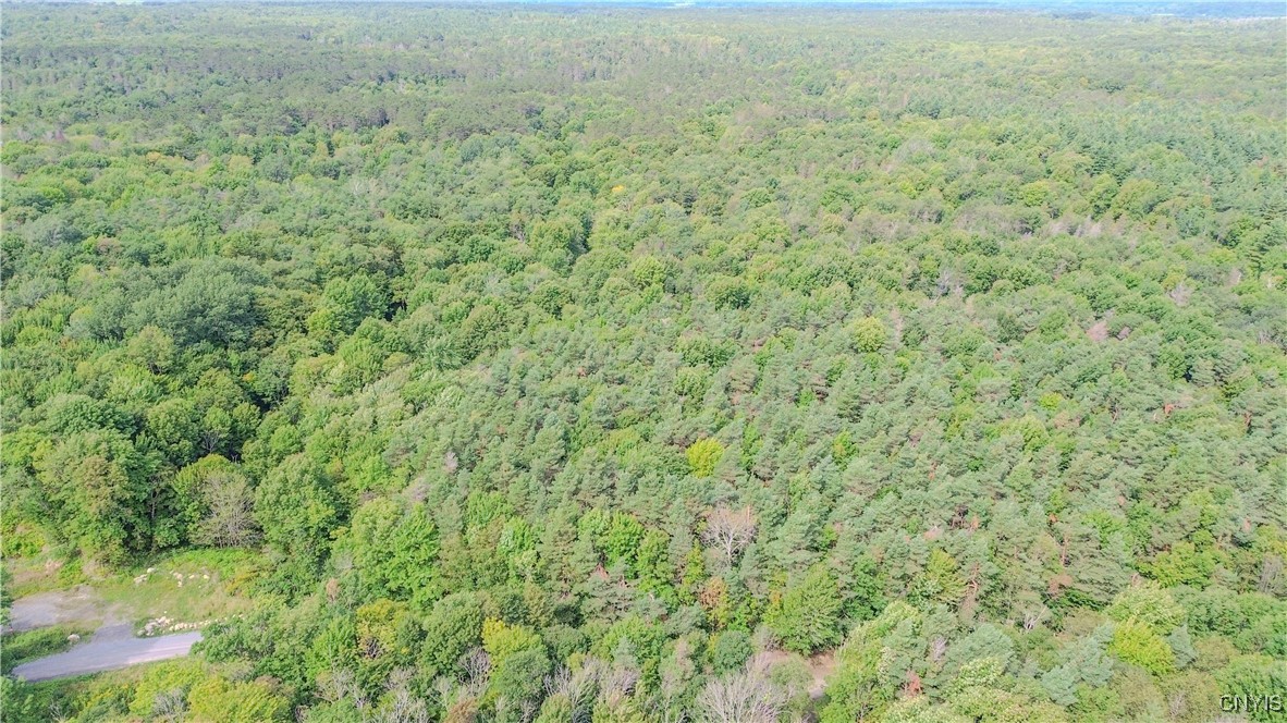 672 Pinckney Road Pinckney, NY 13682 - Photo 41 of 50