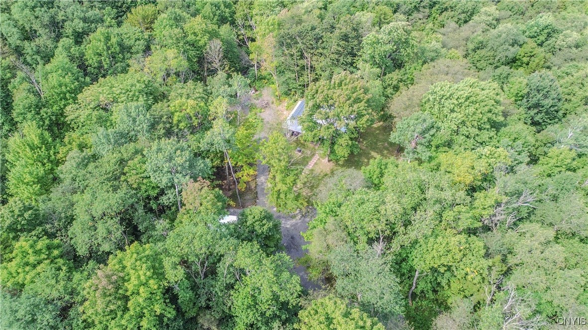 672 Pinckney Road Pinckney, NY 13682 - Photo 42 of 50