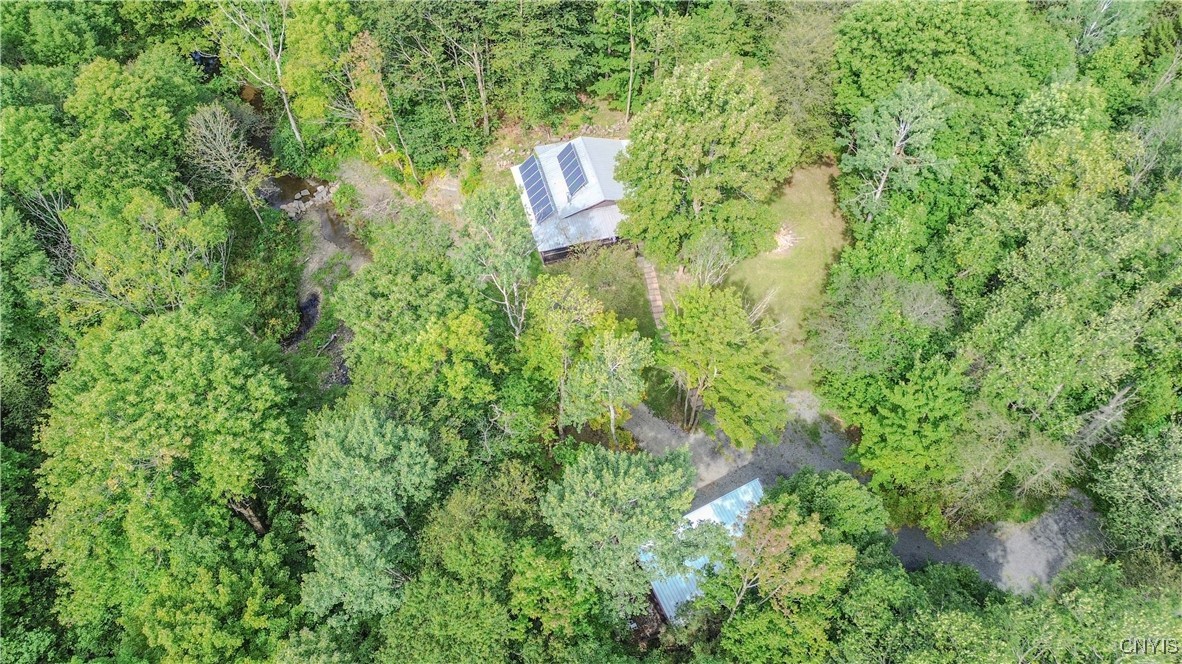 672 Pinckney Road Pinckney, NY 13682 - Photo 43 of 50
