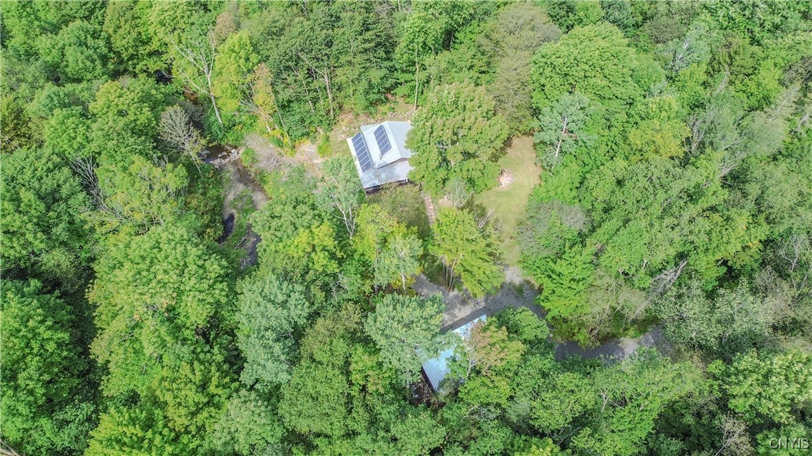 672 Pinckney Road Pinckney, NY 13682 - Photo 44 of 50
