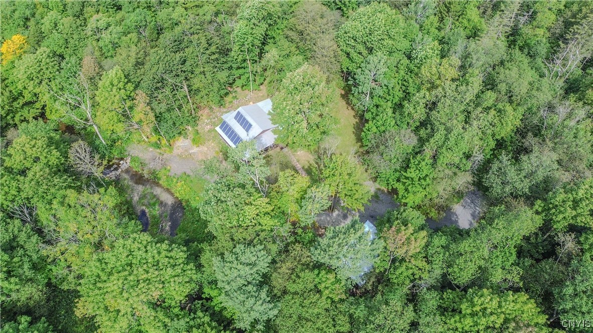 672 Pinckney Road Pinckney, NY 13682 - Photo 45 of 50