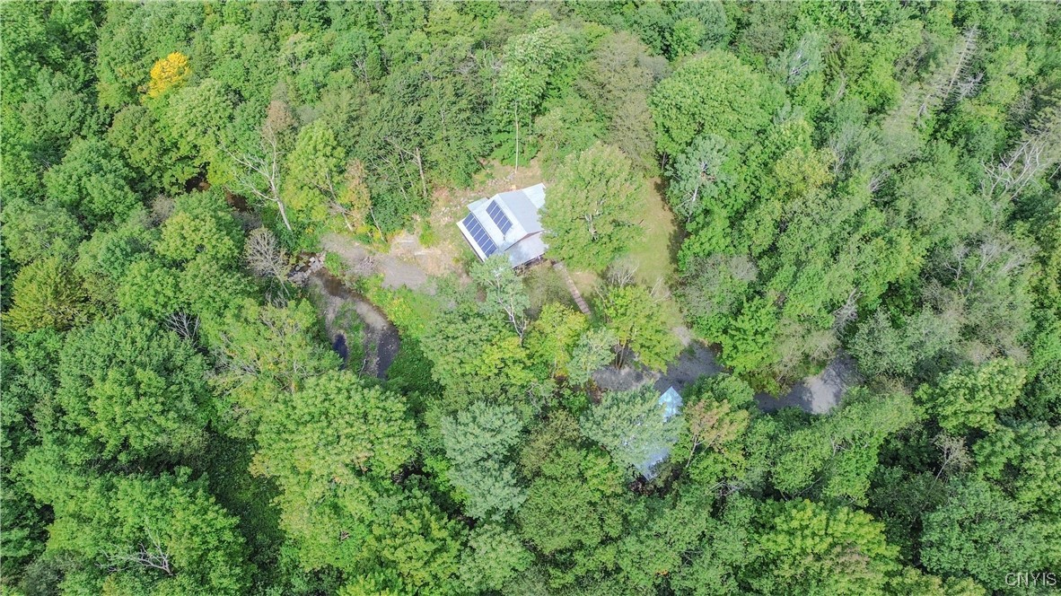 672 Pinckney Road Pinckney, NY 13682 - Photo 46 of 50