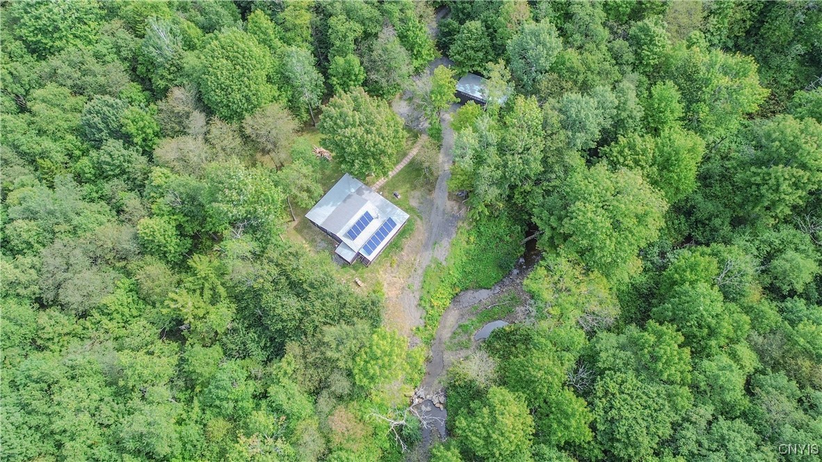 672 Pinckney Road Pinckney, NY 13682 - Photo 47 of 50