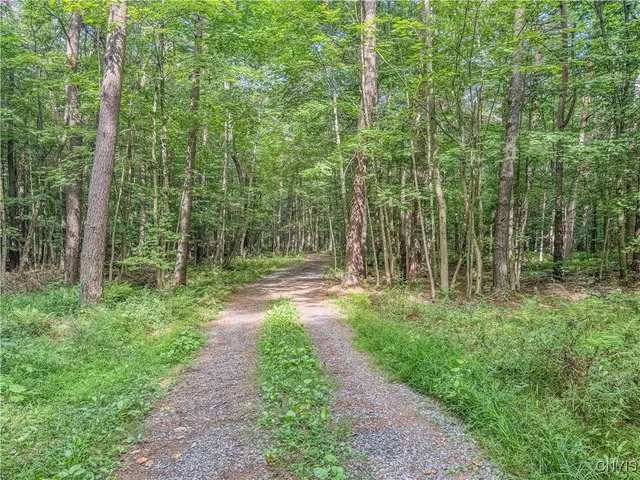 $198,000 | 672 Pinckney Road, Pinckney, NY 13682