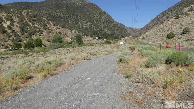 a view of a dry yard with mountains in the background