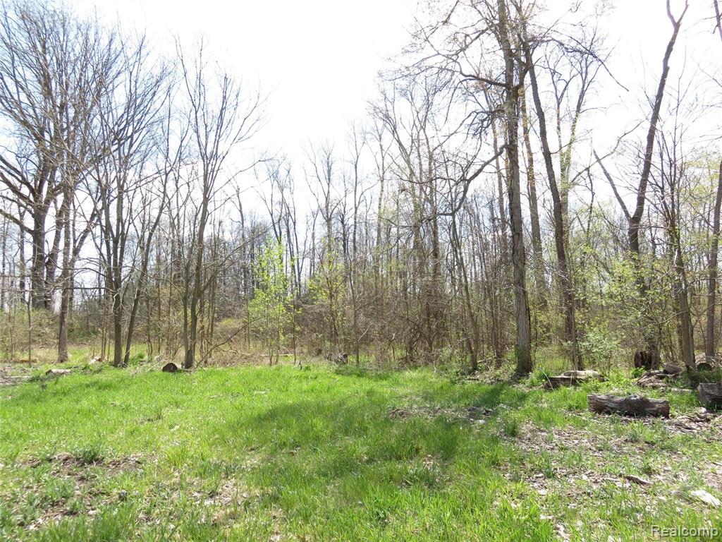 0 South Elliott Road Fowlerville, MI 48836 - Photo 8 of 22