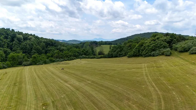 a view of a yard with an outdoor space