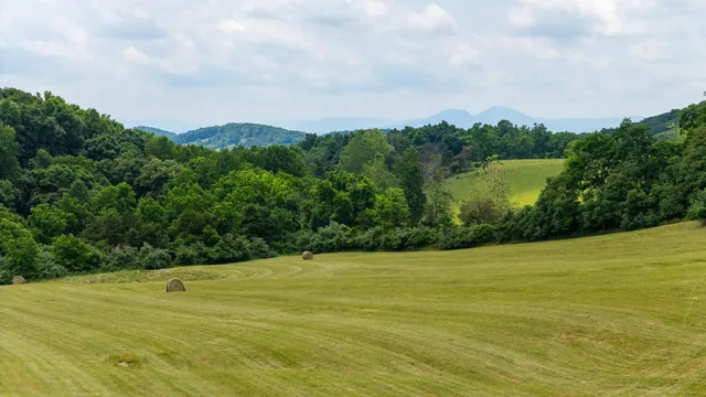 a view of a swimming pool and a yard