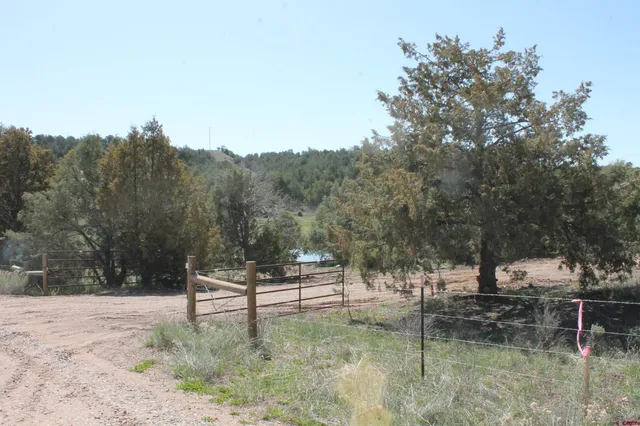 a view of a lake from a yard