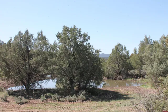 a view of a dirt road with mountain view