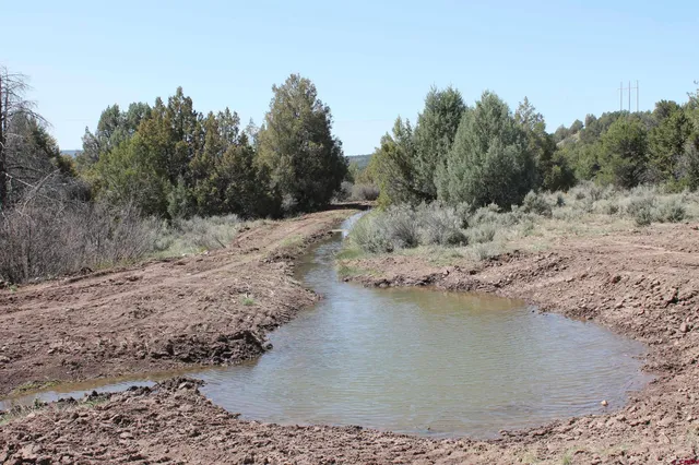 a view of a dry field