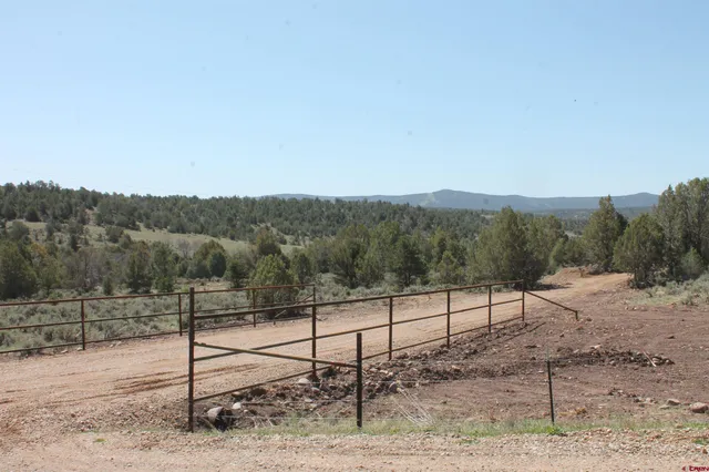 a view of a dry yard with trees in the background