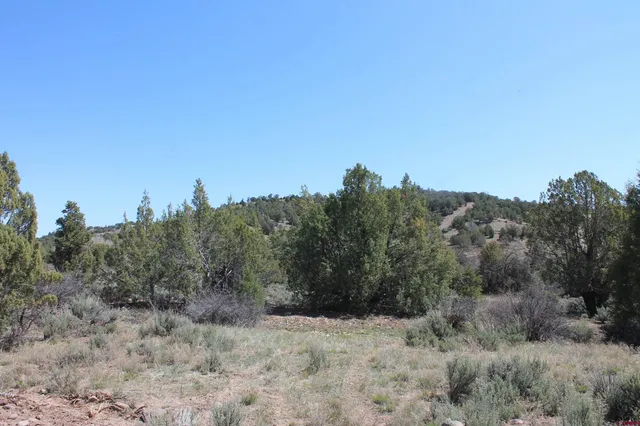 a view of a dry field
