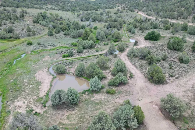 an aerial view of greenery