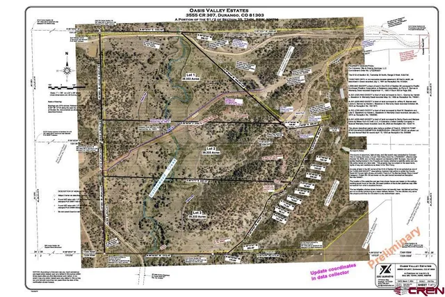 a view of a forest with a street