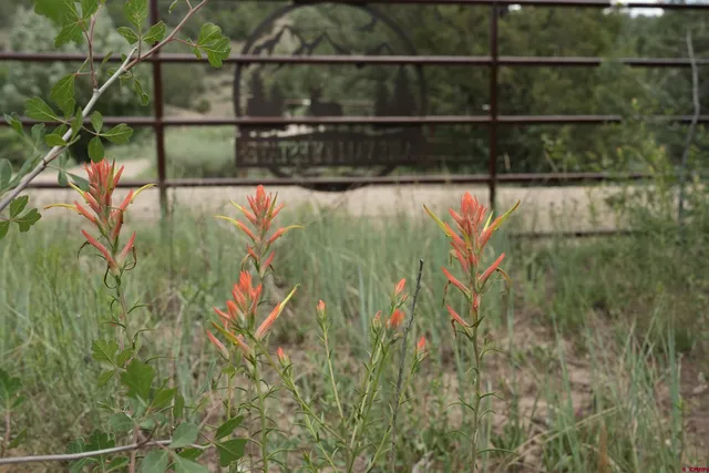 a view of swimming pool from a balcony