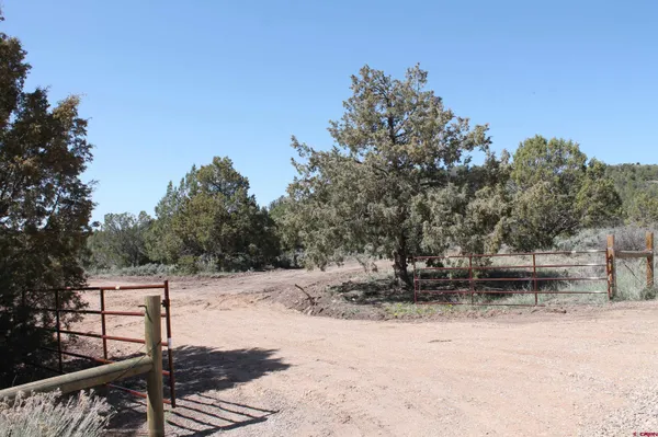 $495,900 | 3605 Cr 307, Durango, CO 81303