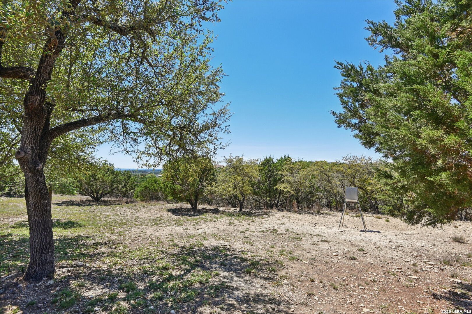 345 Ridge Point Spring Branch, TX 78070 - Photo 43 of 48 a view of a forest filled with trees