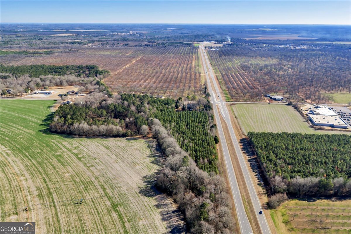 0 Woolfolk Road Fort Valley, GA 31030 - Photo 6 of 15 a view of a yard