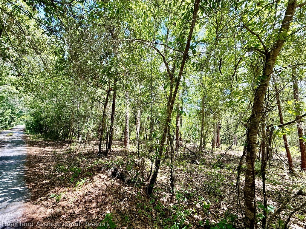 295 Shaw Road Wauchula, FL 33873 - Photo 42 of 43