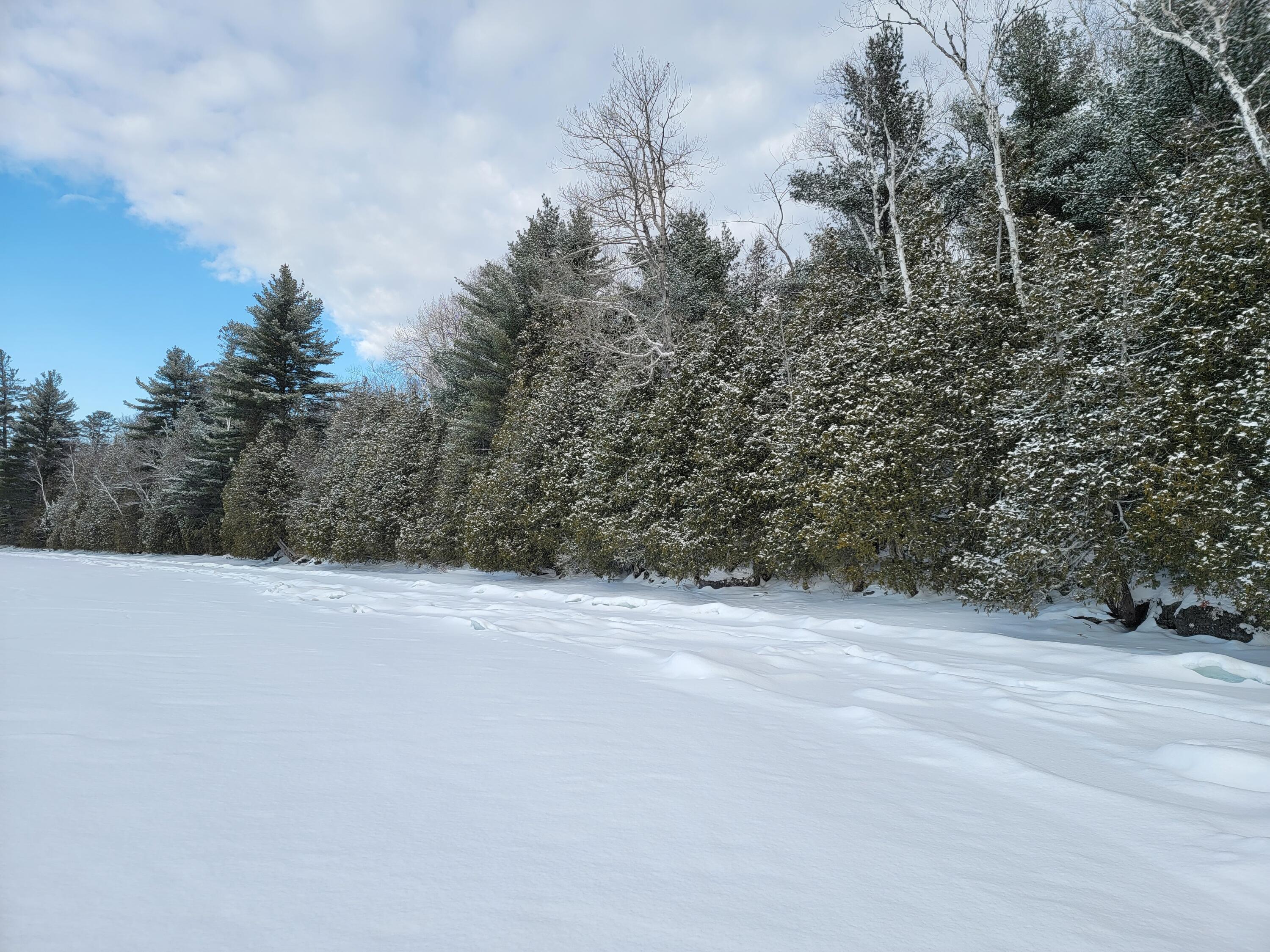 0 Railroadbed Rd Lake View Milo, ME 04463 - Photo 11 of 68 20220125_143621