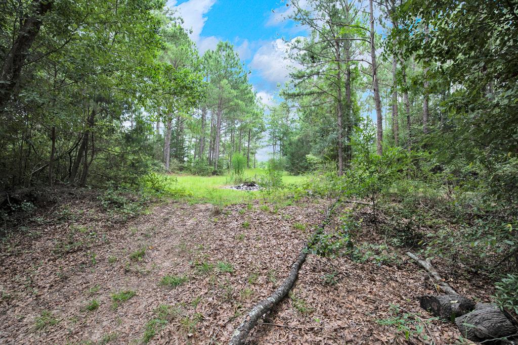88 McArdle Road Dothan, AL 36303 - Photo 7 of 43