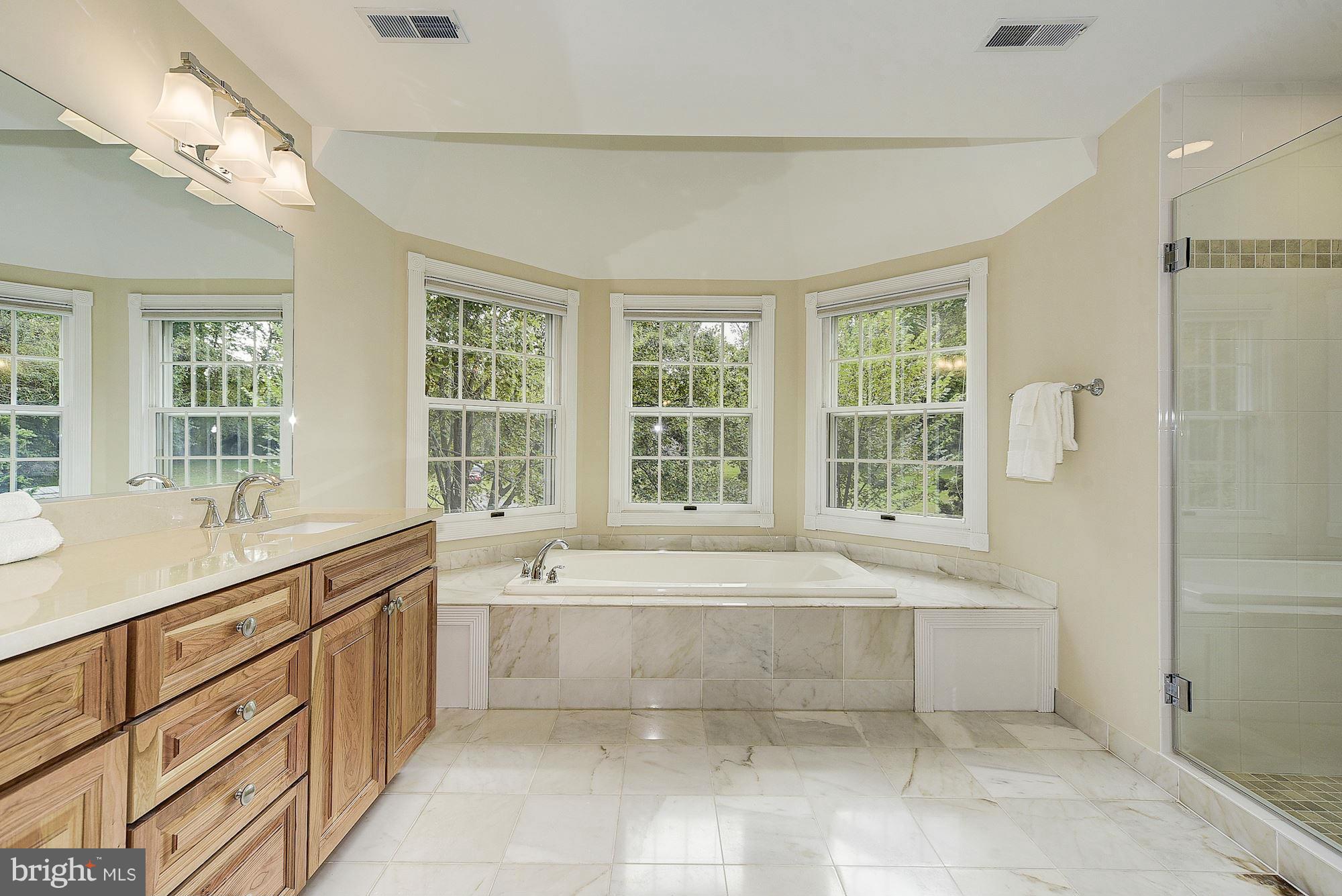 542 Ednor Road Ashton, MD 20861 - Photo 14 of 29 Owner's Private Upgraded Bath