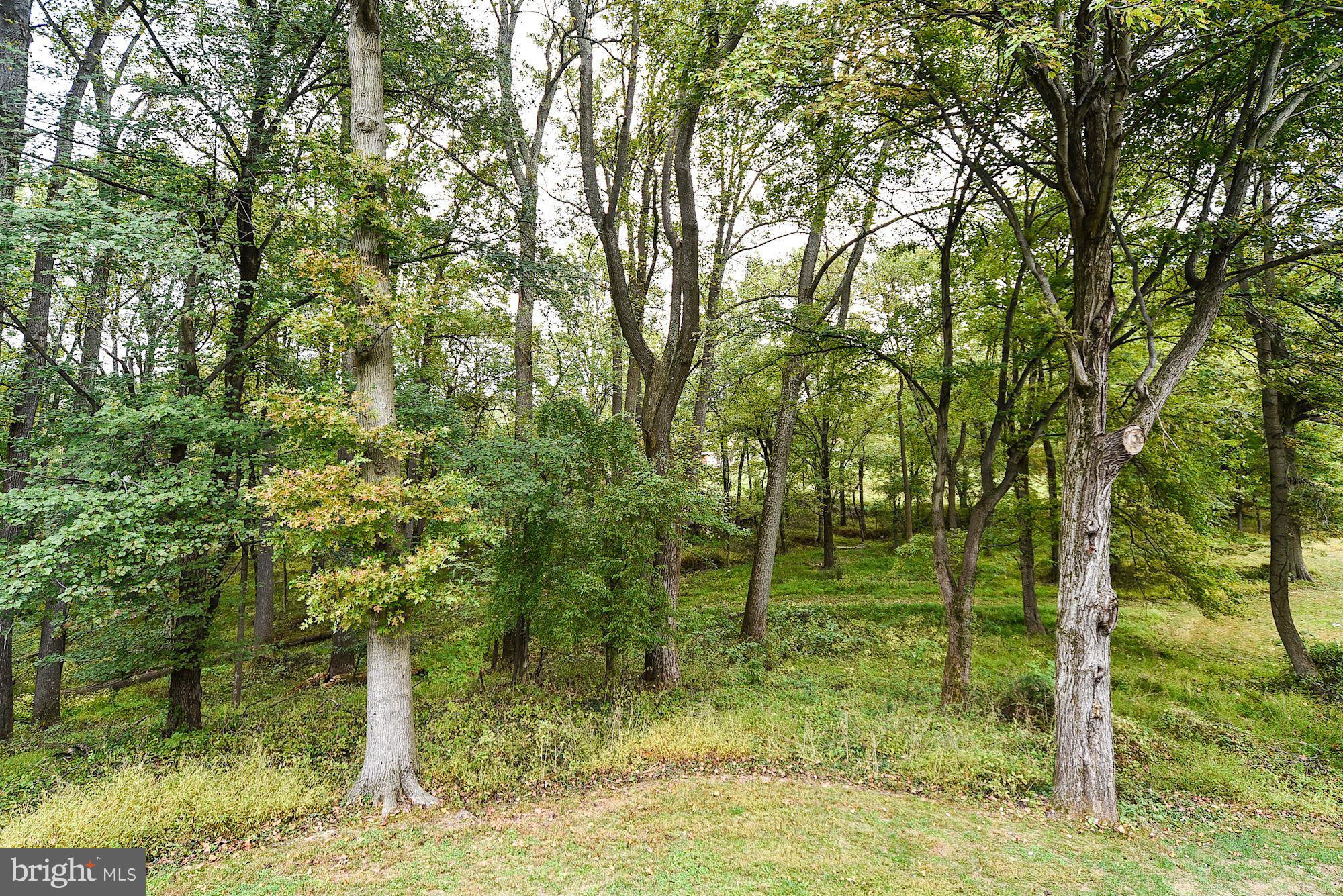 542 Ednor Road Ashton, MD 20861 - Photo 28 of 29 Park-like 4 Acre Lot