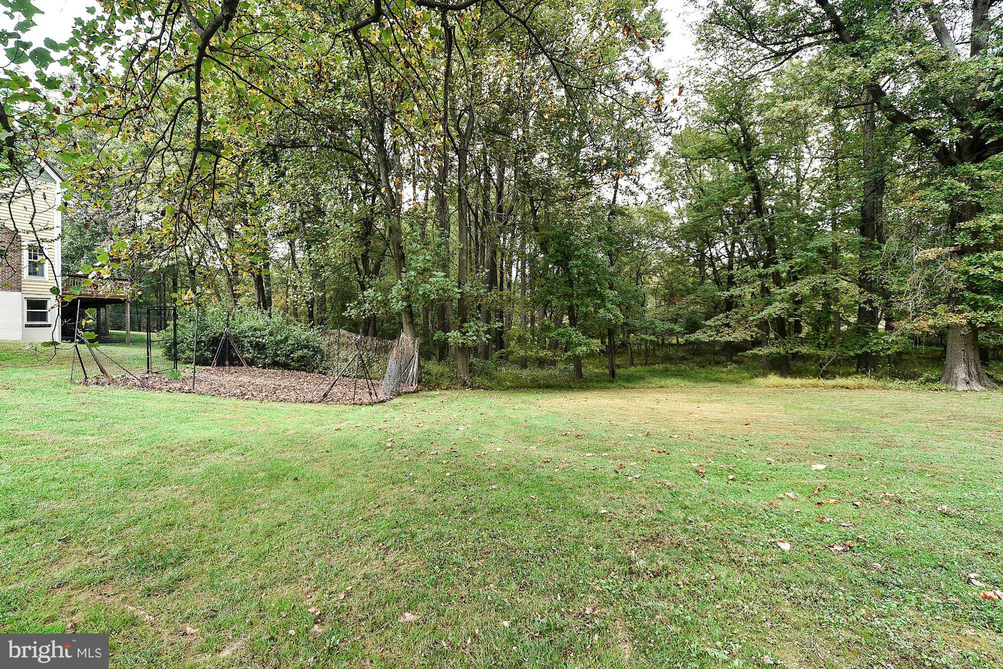 542 Ednor Road Ashton, MD 20861 - Photo 29 of 29 Open Lawn Area