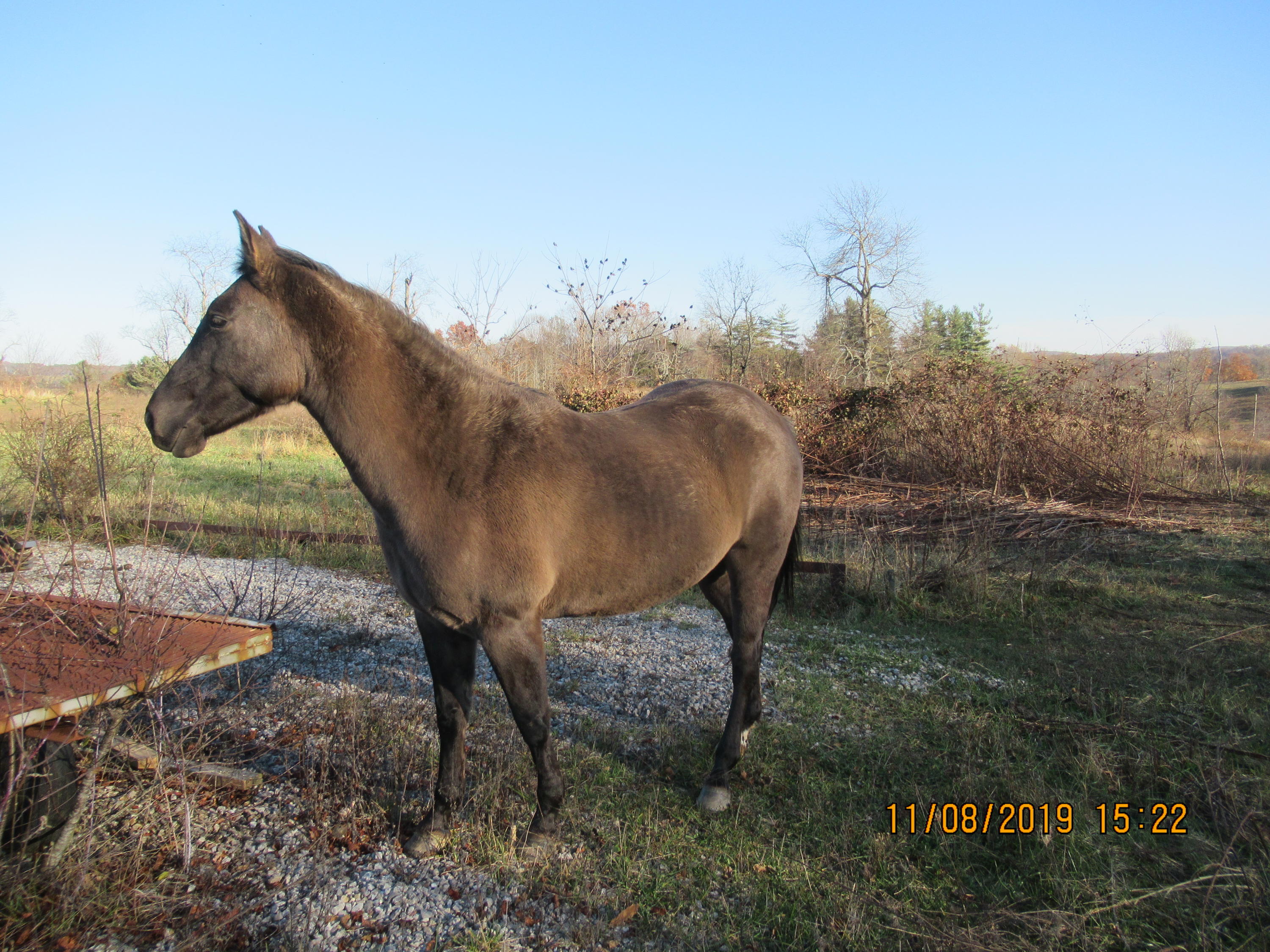 463 Rose Hill Road Northwest Floyd, VA 24091 - Photo 16 of 20 IMG_1084