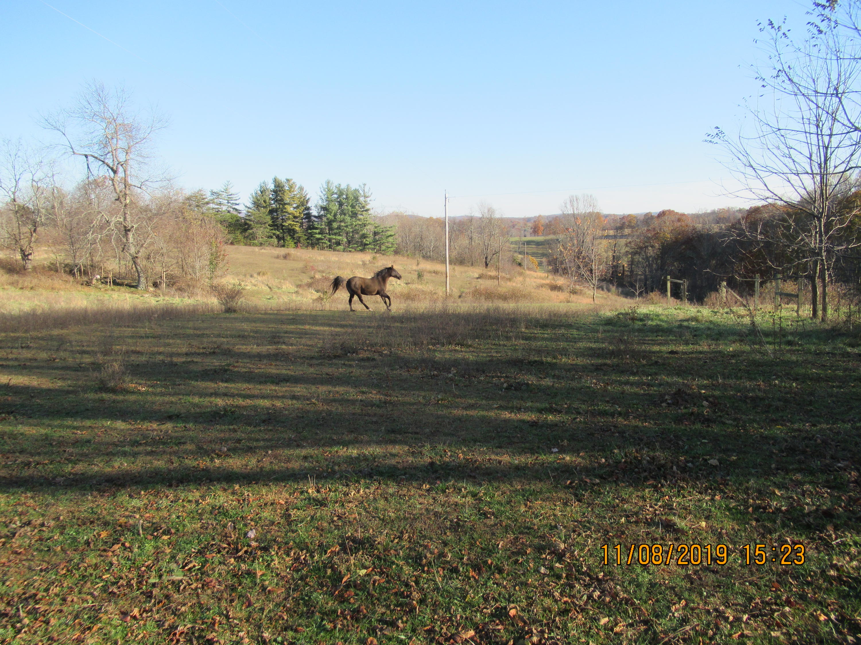 463 Rose Hill Road Northwest Floyd, VA 24091 - Photo 17 of 20 IMG_1085