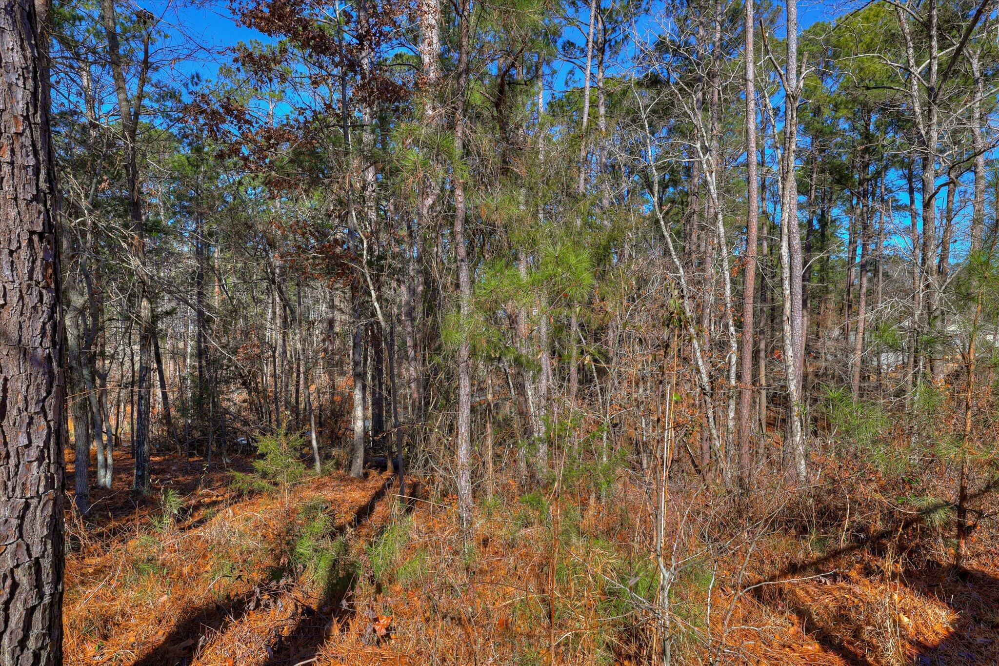 408 Reynard Place McCormick, SC 29835 - Photo 49 of 53 50-149