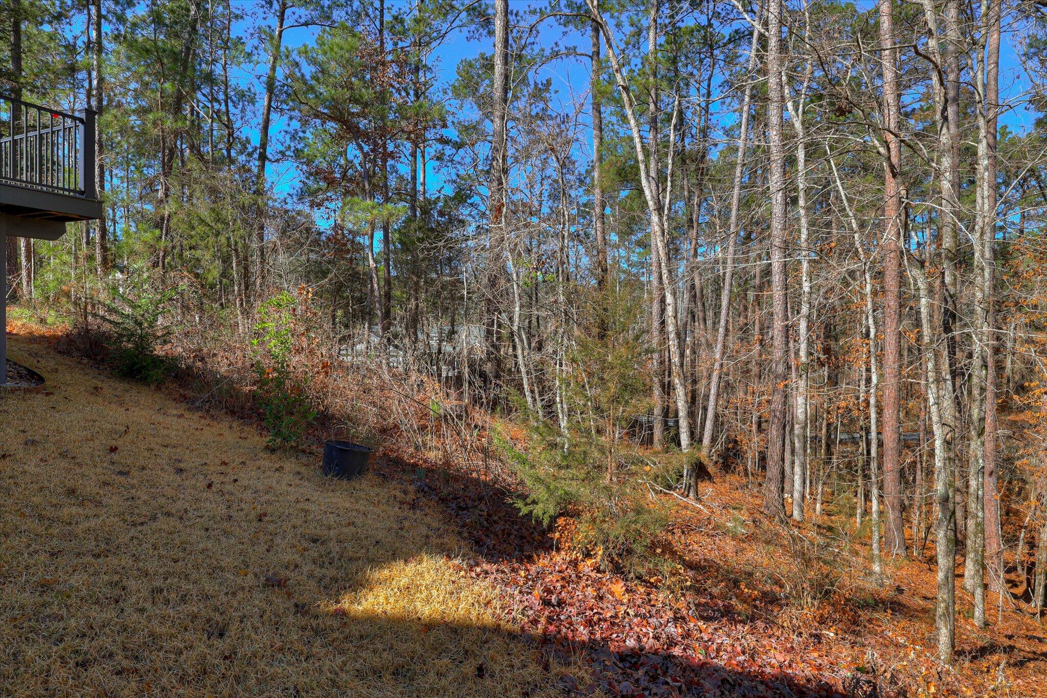 408 Reynard Place McCormick, SC 29835 - Photo 52 of 53 53-152