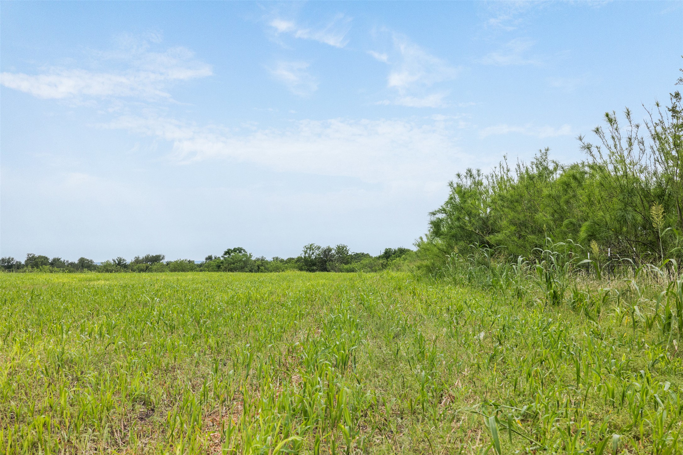 21814 Hogeye Road Manor, TX 78653 - Photo 7 of 37
