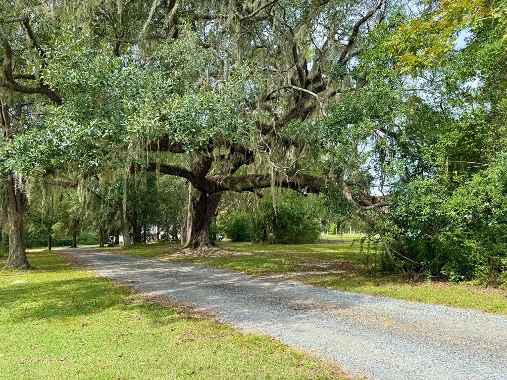 8349 Coffee Road Hahira, GA 31632 - Photo 19 of 27 Gallery Image 19
